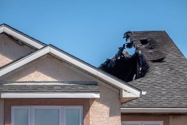 Top rated local Board Up Services specialists in Vermillion, MN